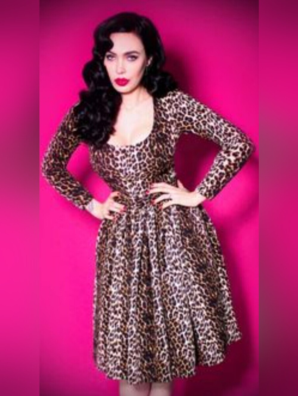 Vixen By Micheline Pitt Troublemaker Swing Dress In Leopard, BNWT, XS And M